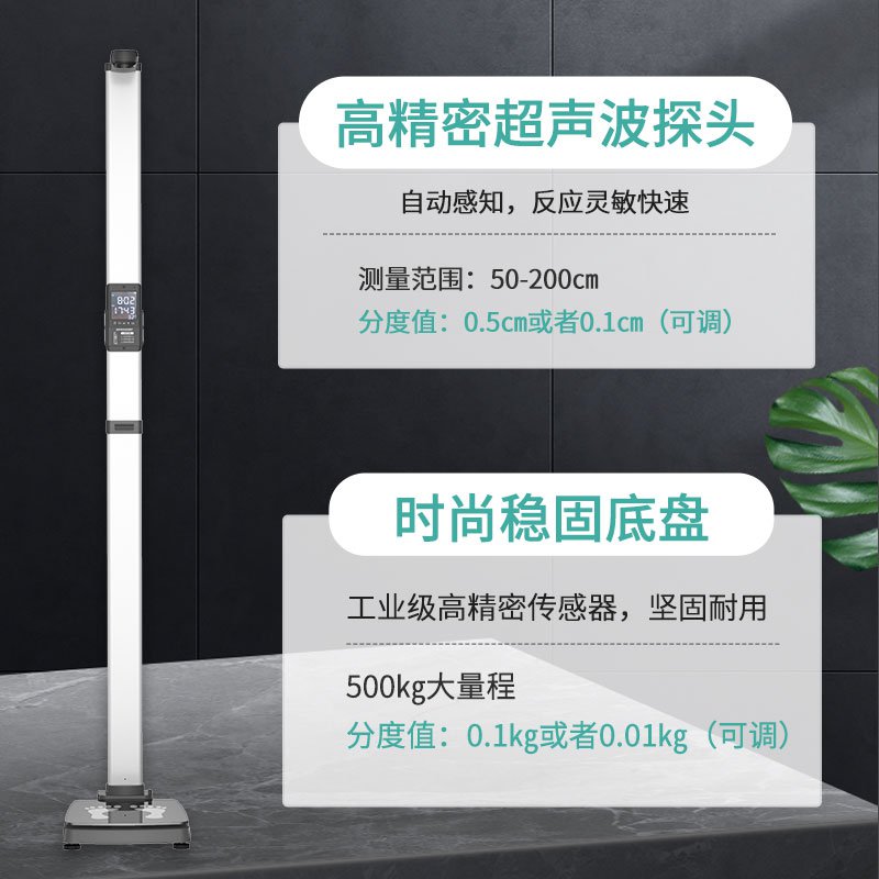 SH-E10基礎款 身高體重秤